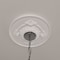 Ekena Millwork Monique Ceiling Medallion (Fits Canopies up to 3 3/4"), 13 3/4"OD x 1"P, Primed White CM13MO - alternate 8